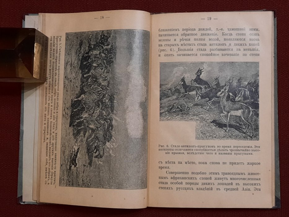 Климонтович А.А. Переселения животных.