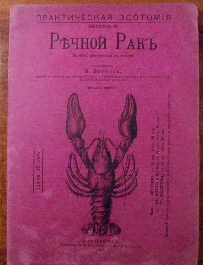 Речной рак. Практическая зоотомия.