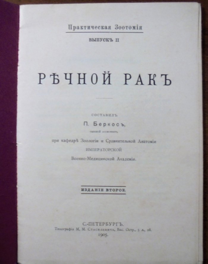 Речной рак. Практическая зоотомия.
