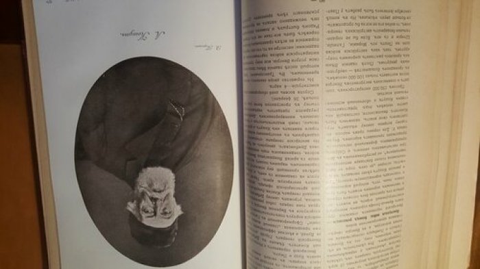 История XIX века. В 8 томах. Том 5 часть вторая.