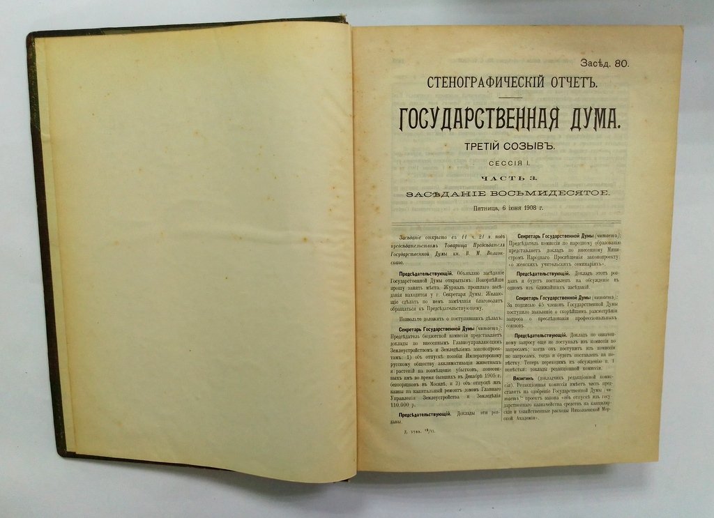 Стенографический отчет.