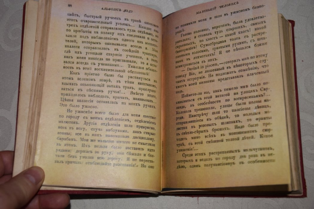 Додэ. Маленький человек.
