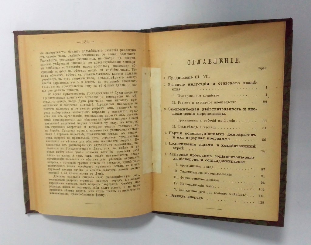 Маслов П. Развитие народного хозяйства и аграрная программа.