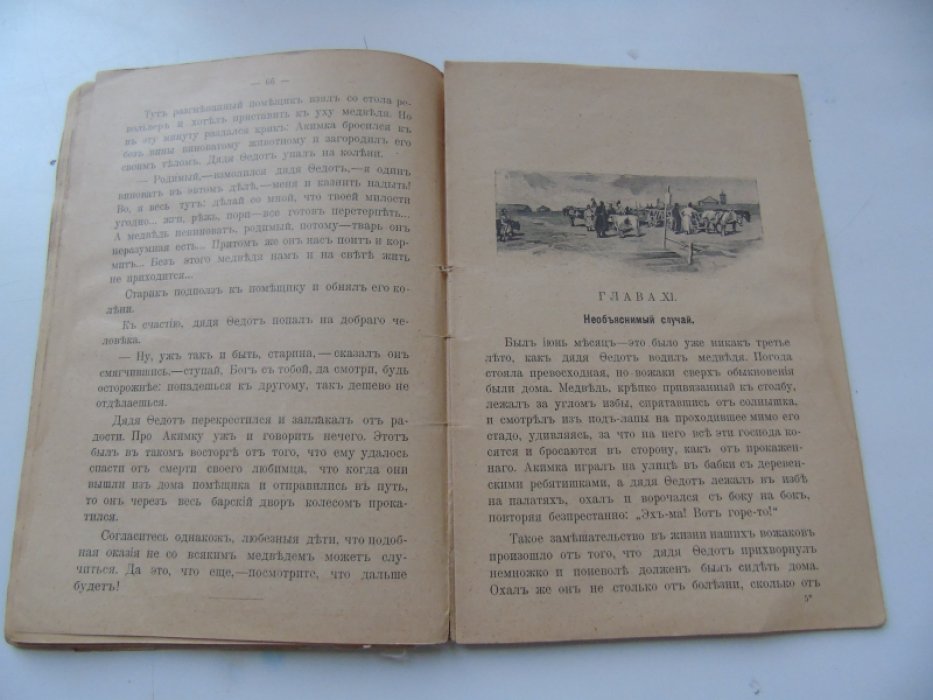 Голицынский А. Любопытная история одного медведя.