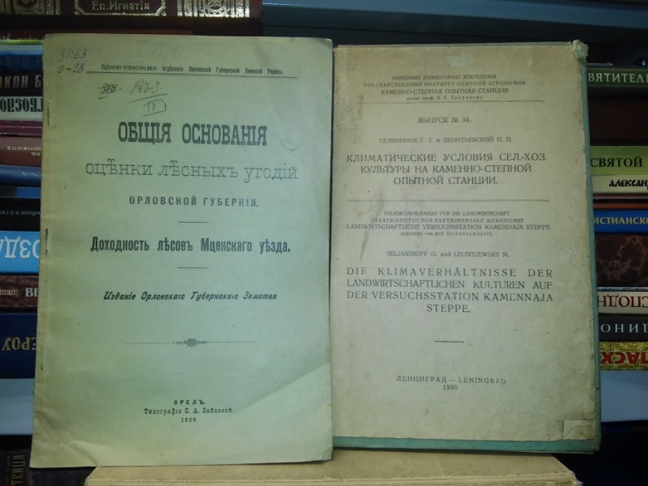 Общие основания оценки лесных угодий Орловской губернии. Доходность лесов Мценского уезда