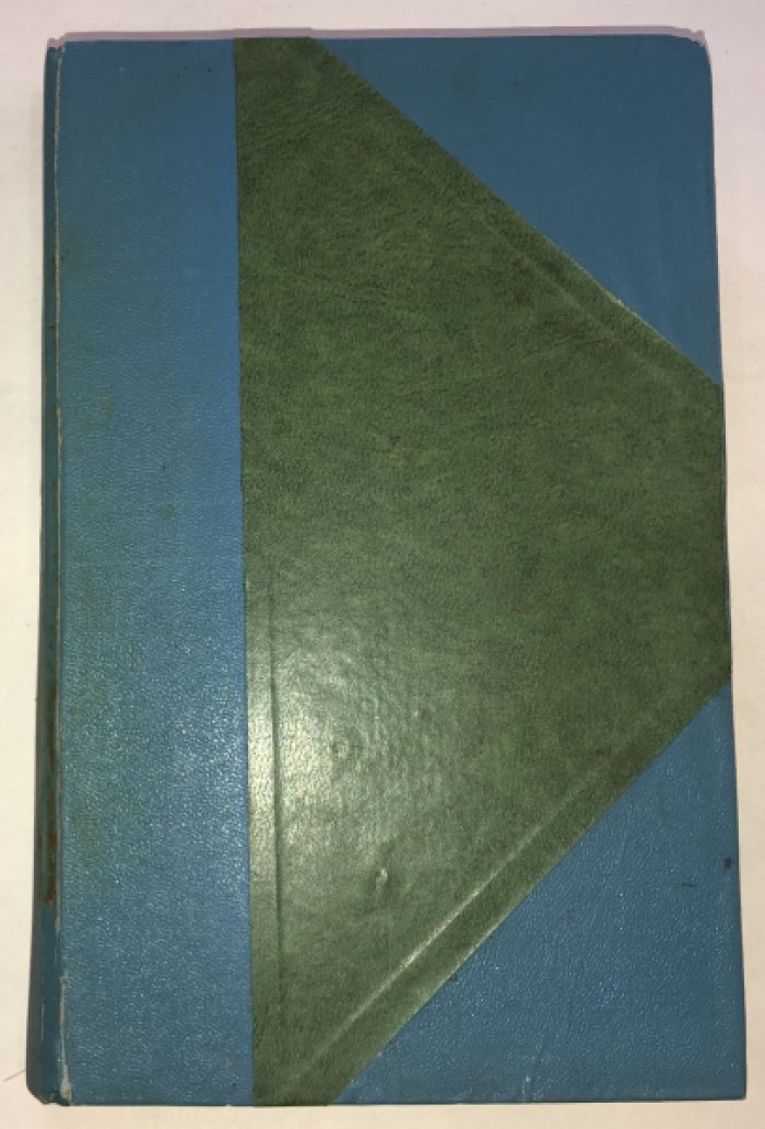 Опочинин Е. Н. Королевская невеста.