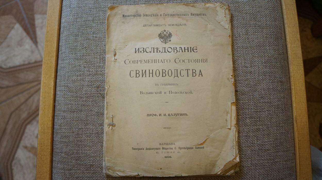 Калугин И. И. , проф. Исследование современного состояния свиноводства в губерниях Волынской и Подольской.