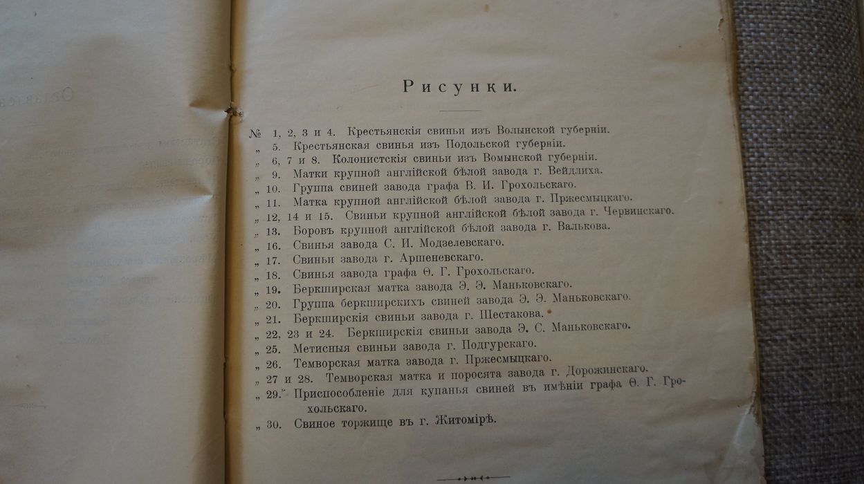 Калугин И. И. , проф. Исследование современного состояния свиноводства в губерниях Волынской и Подольской.