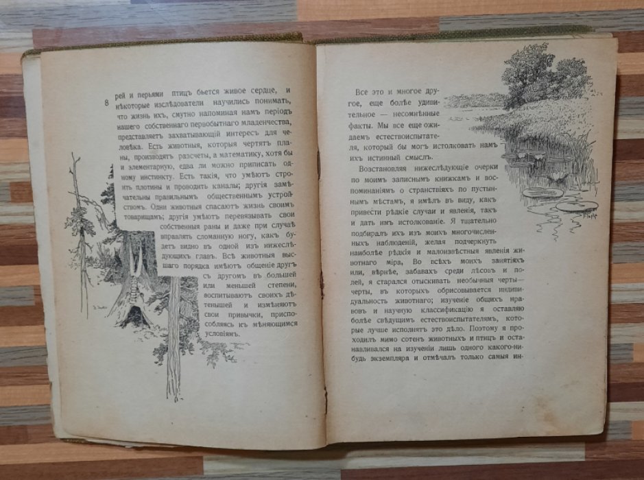 Лонг Вильям. Младший Братец Медведя. Рассказы из жизни животных