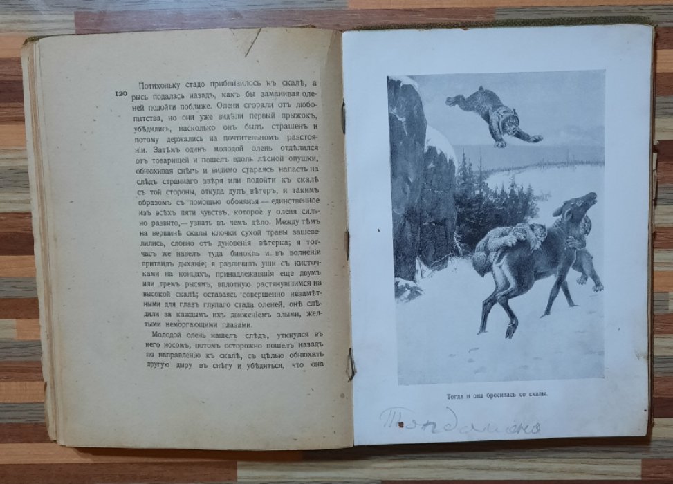 Лонг Вильям. Младший Братец Медведя. Рассказы из жизни животных