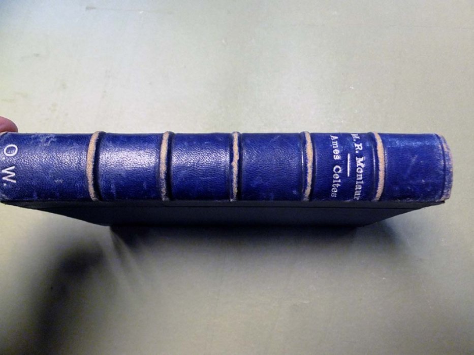 M. Reynes Monlaur. Ames Celtes (Кельтские души).