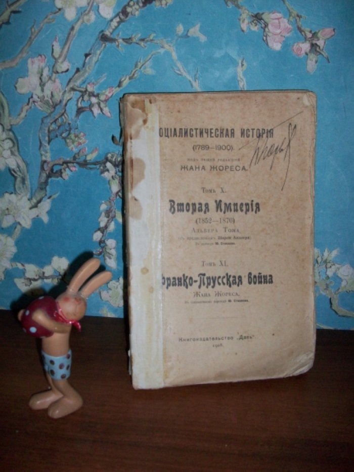 Социалистическая история (1789-1900) т. 10, 11.