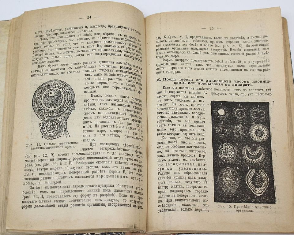 Общественная библиотека `Родины`. Книга 1-12 за 1906 г.