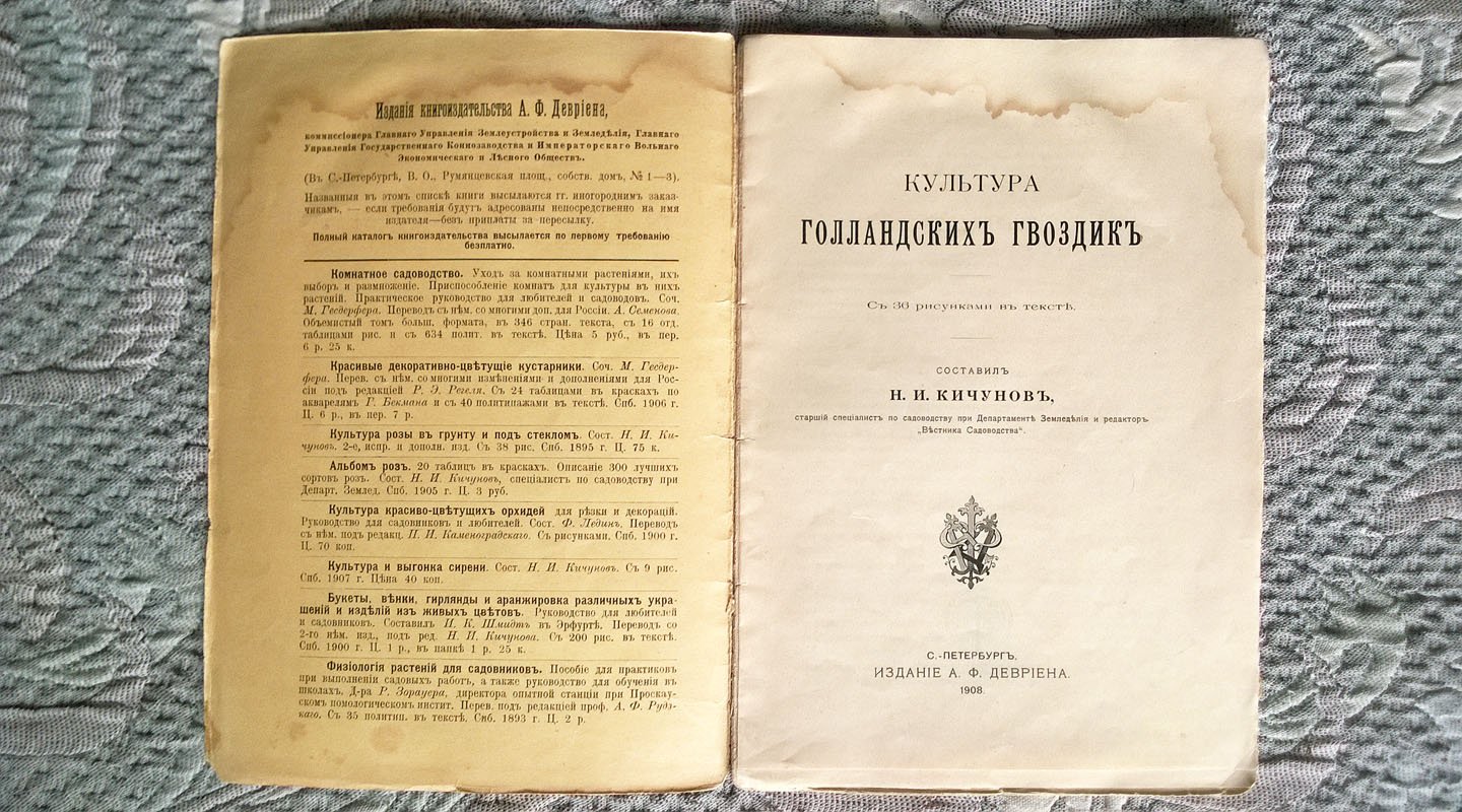 Кичунов Н.И. Культура голландских гвоздик.