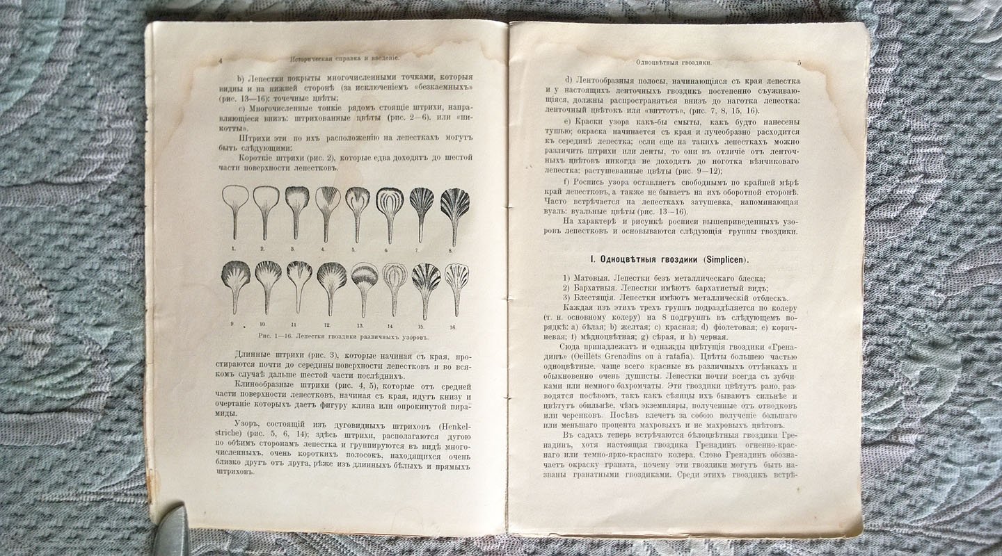 Кичунов Н.И. Культура голландских гвоздик.