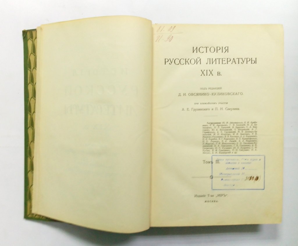История русской литературы XIX века.