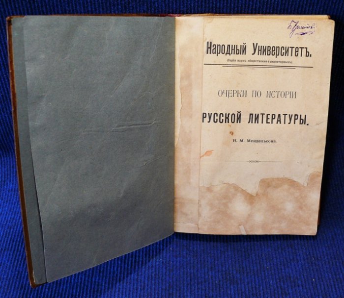 Мендельсон Н.М. Очерки по истории русской литературы.