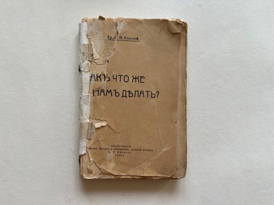 Толстой Л.Н. Так что же нам делать?