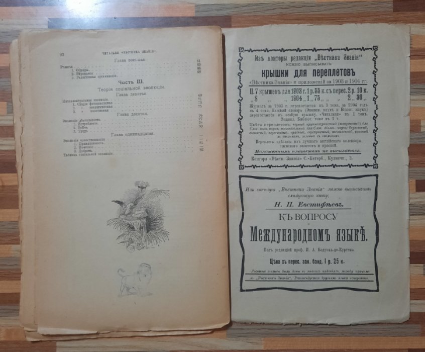 Монье Камилль. Социология.