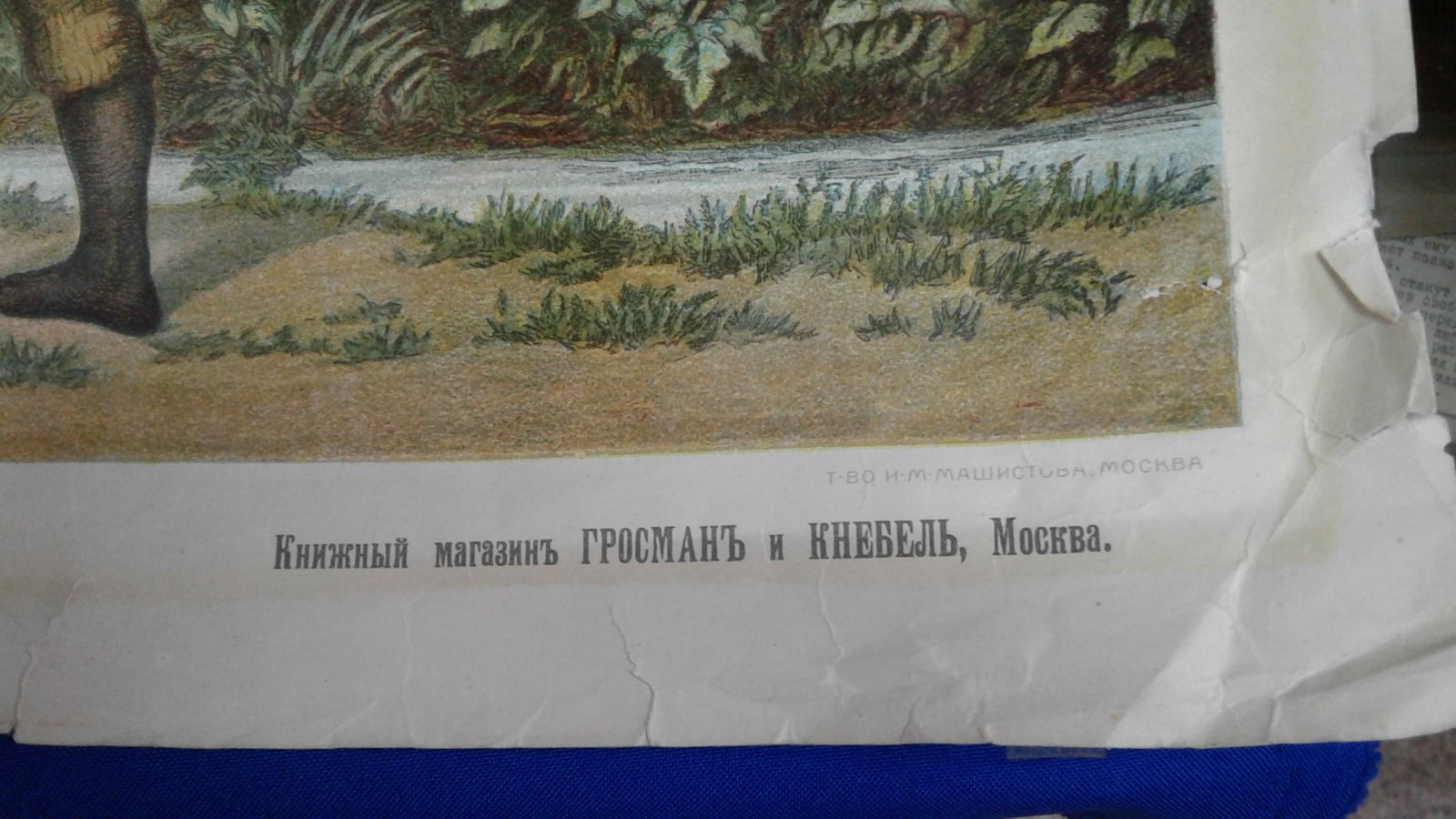 Геринг и Шмидт. Хлопок.
