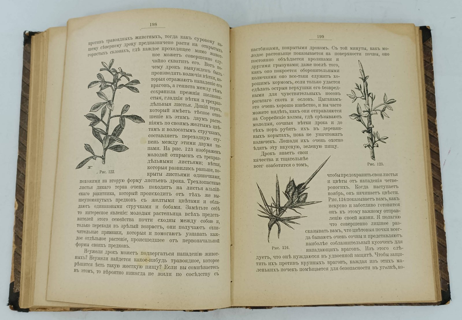 Аллен Грант. В тайниках природы.