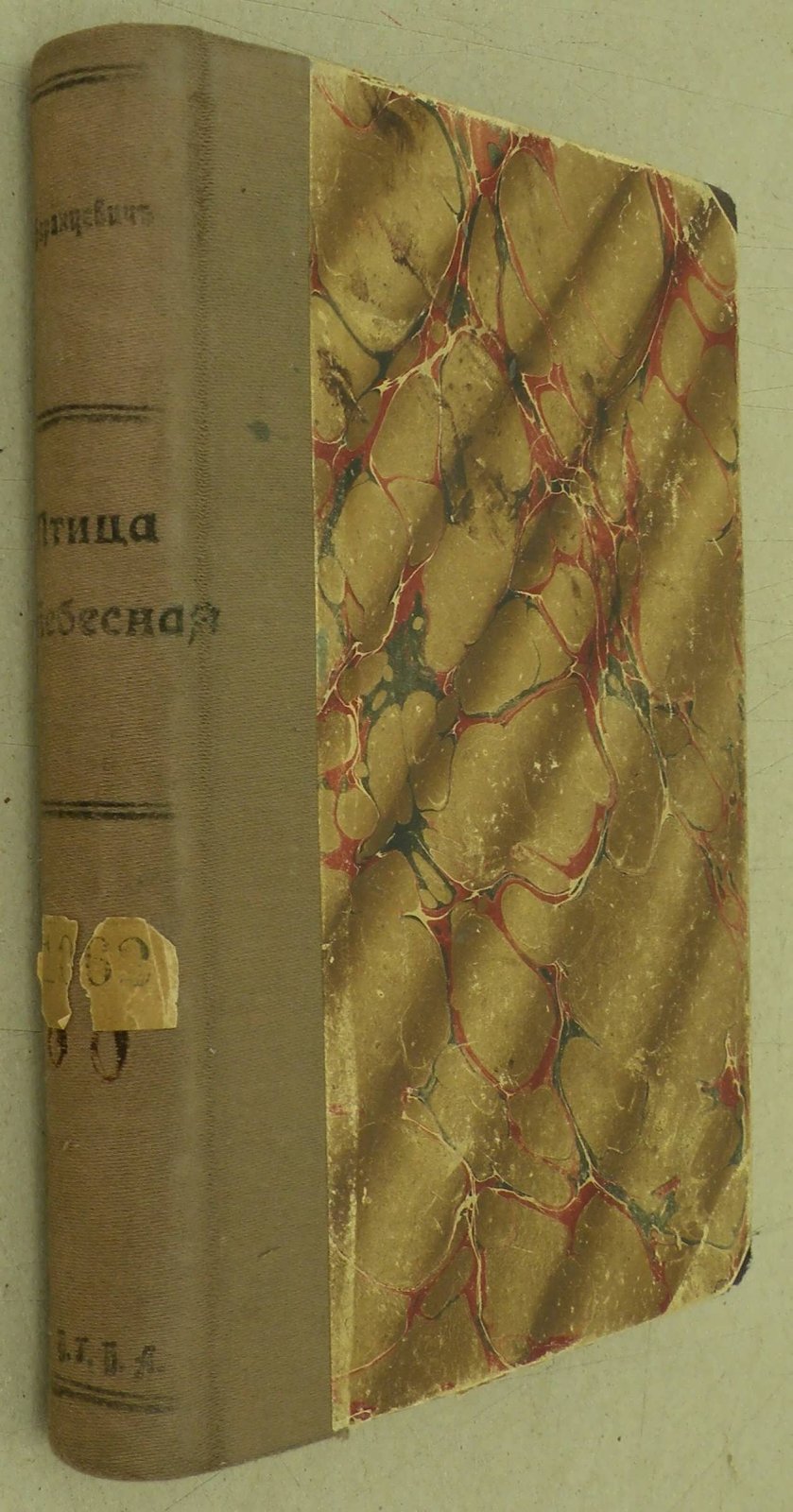 Баранцевич К. Птица небесная.