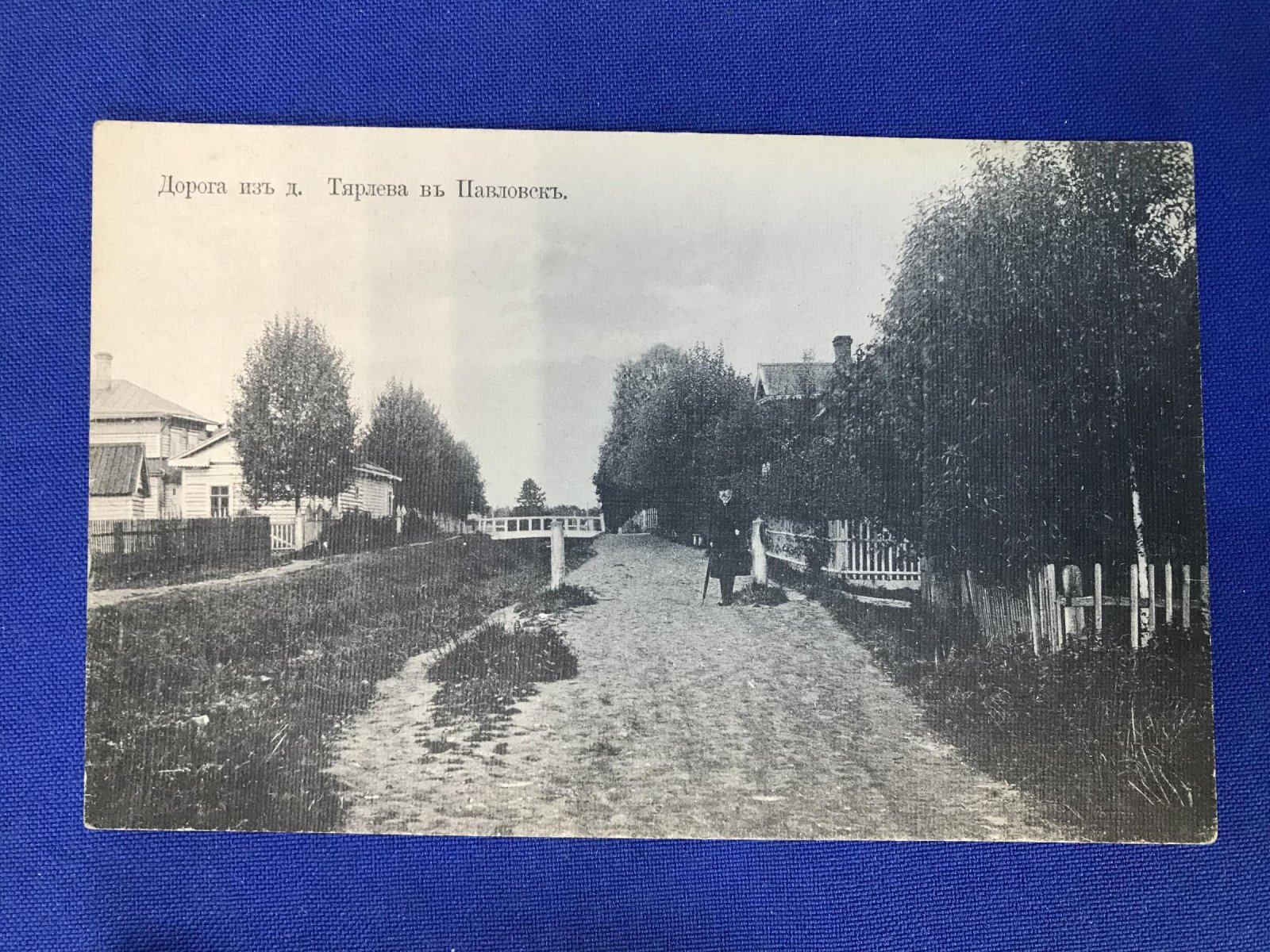 Дорога из д.Тярлева в Павловск.
