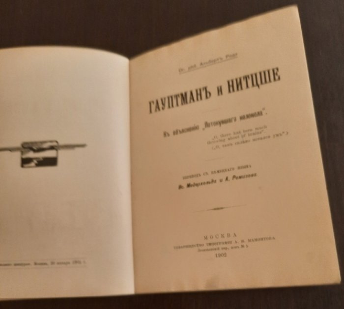 Родэ Альберт. Гауптман и Нитцше.