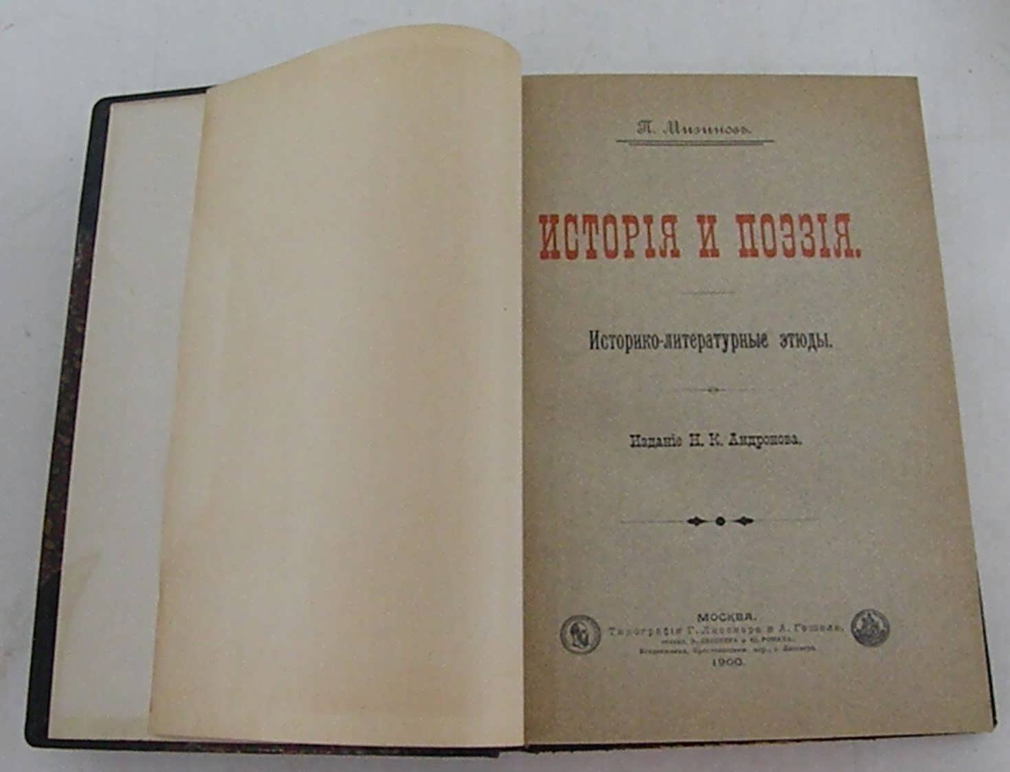 Мизинов П.И. История и поэзия. Историко-литературные этюды.