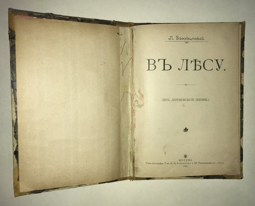 Засодимский П. В лесу. (Из деревенской жизни).