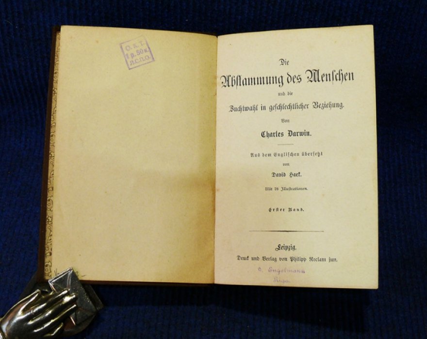 Darwin Charles. Die Abstammung des Menschen und die Zuchtwahl in gechlechtlicher Beziehung von Charles Darwin.