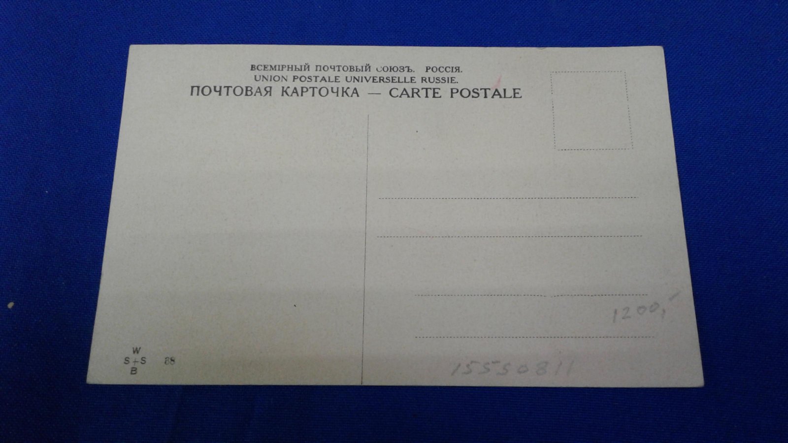 Смотрю на небо голубое.