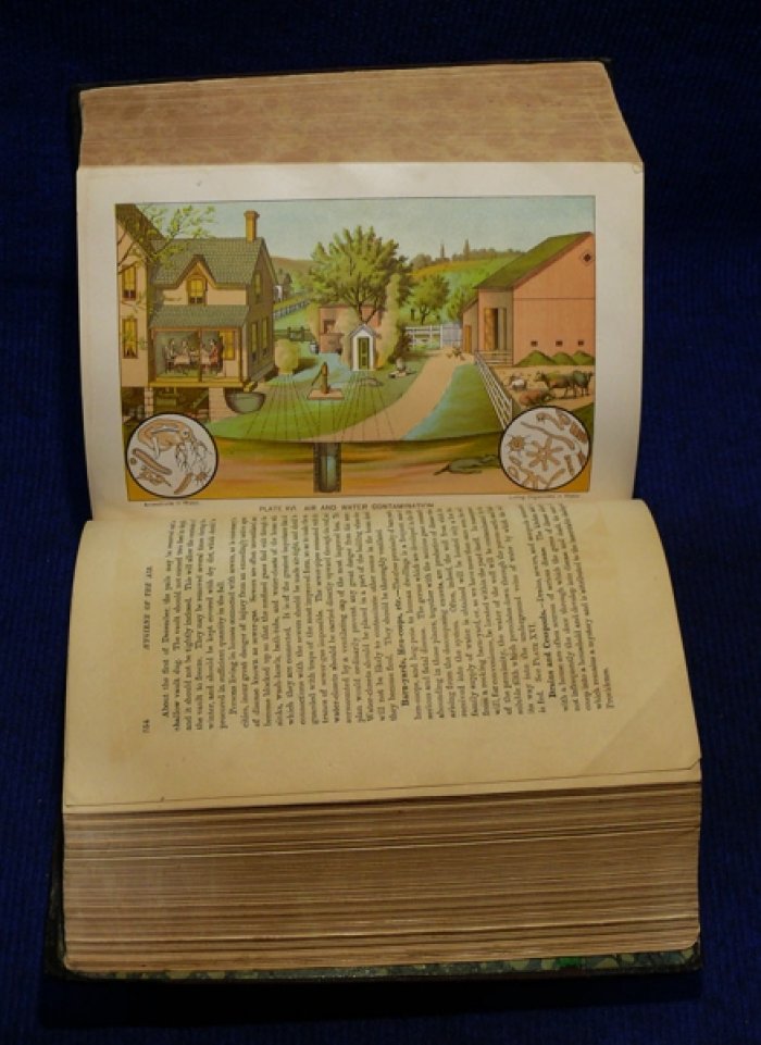Kellogg J.H. The home hand-book of domestic hygiene and rational medicine.