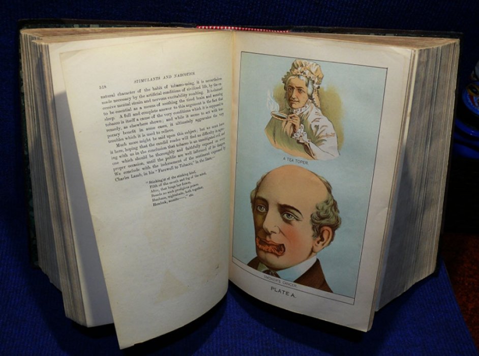 Kellogg J.H. The home hand-book of domestic hygiene and rational medicine.