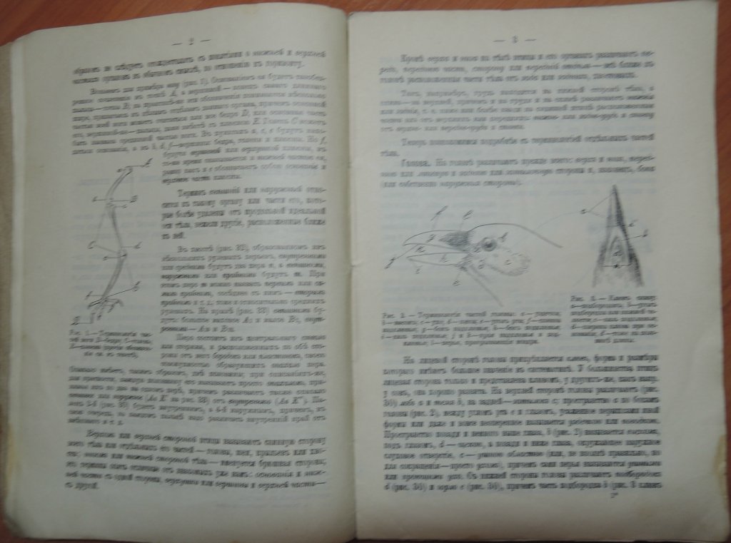 Силантьев А.А. Определитель европейских птиц.