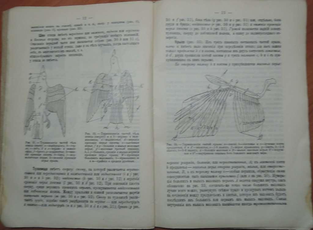 Силантьев А.А. Определитель европейских птиц.