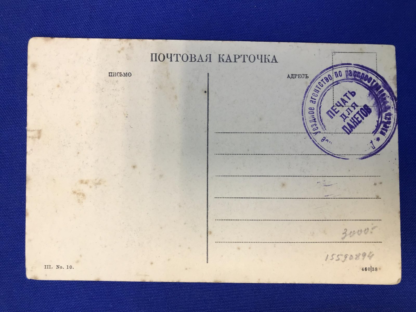 Павловск. Деревня Нововесь.