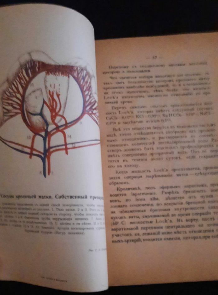 Курдиновский Е.М. Физиологические и фармакологические опыты на изолированной матке.