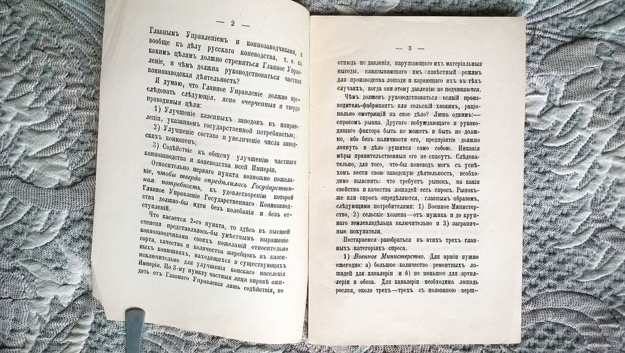 Илларион Воронцов-Дашков. Мнение старого коннозаводчика.
