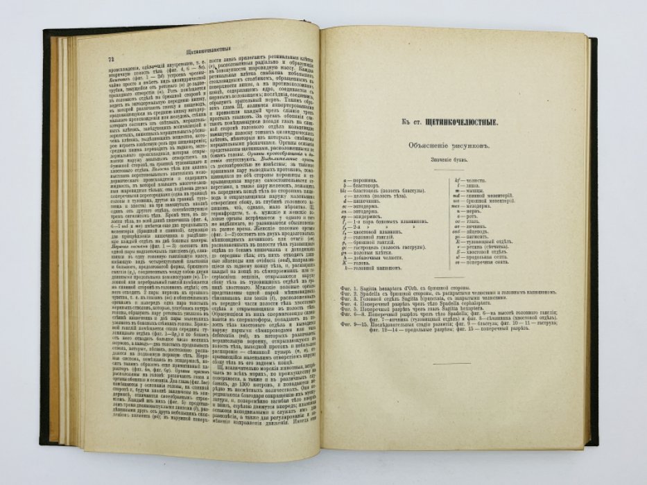 Брокгауз Ф.А., Ефрон И.А. Энциклопедический словарь. Том XL (полутом 79). Шуйское - Электровозбудимость
