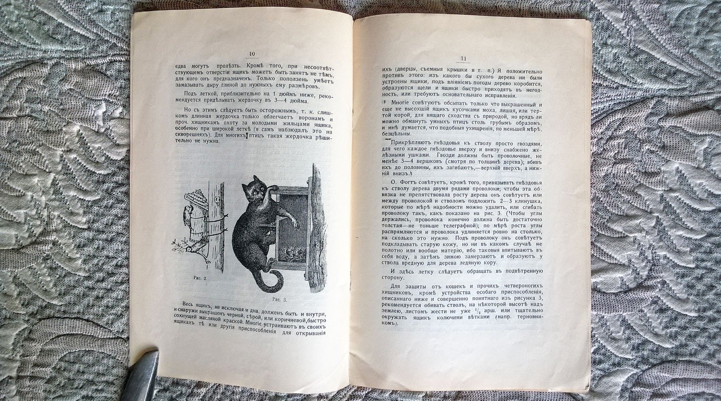 Коротнев Н. Наши пернатые благодетели и меры их охранения.