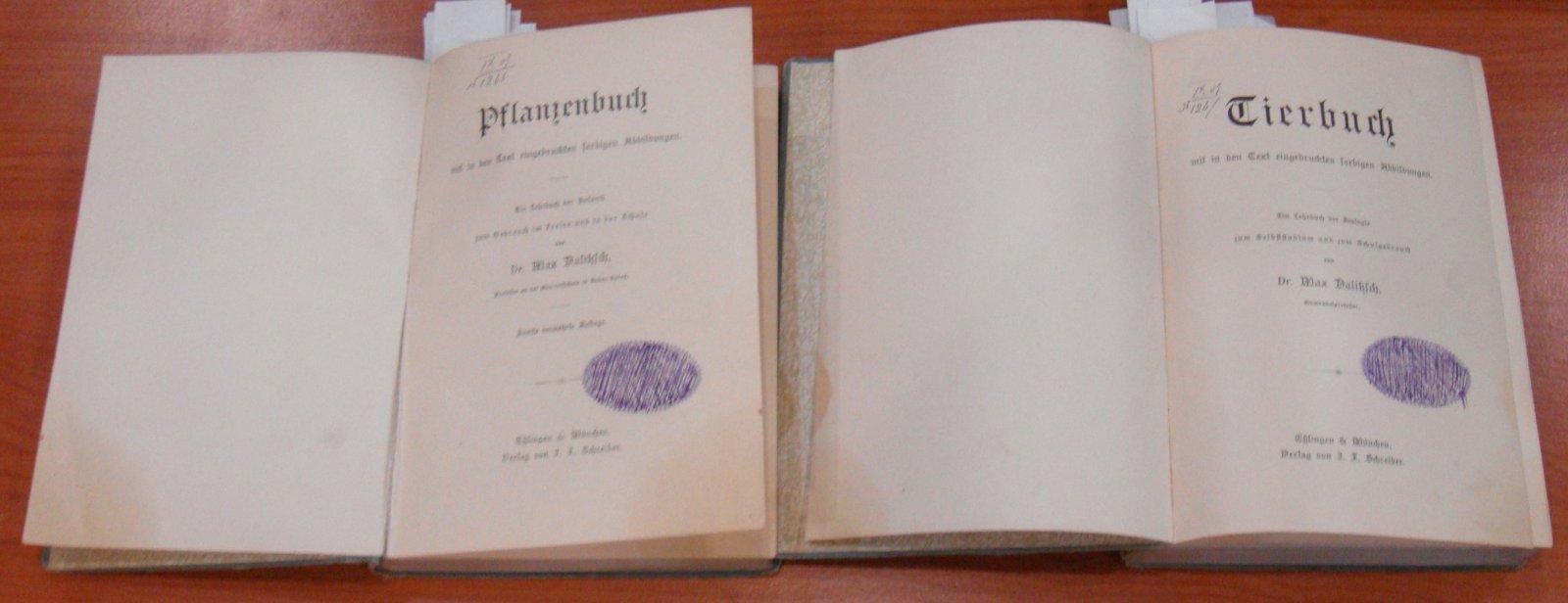 Dalitzsch, M. / Далич (Далитц) М. Pflanzen-buch / Книга о растениях. Tierbuch / Книга о животных.