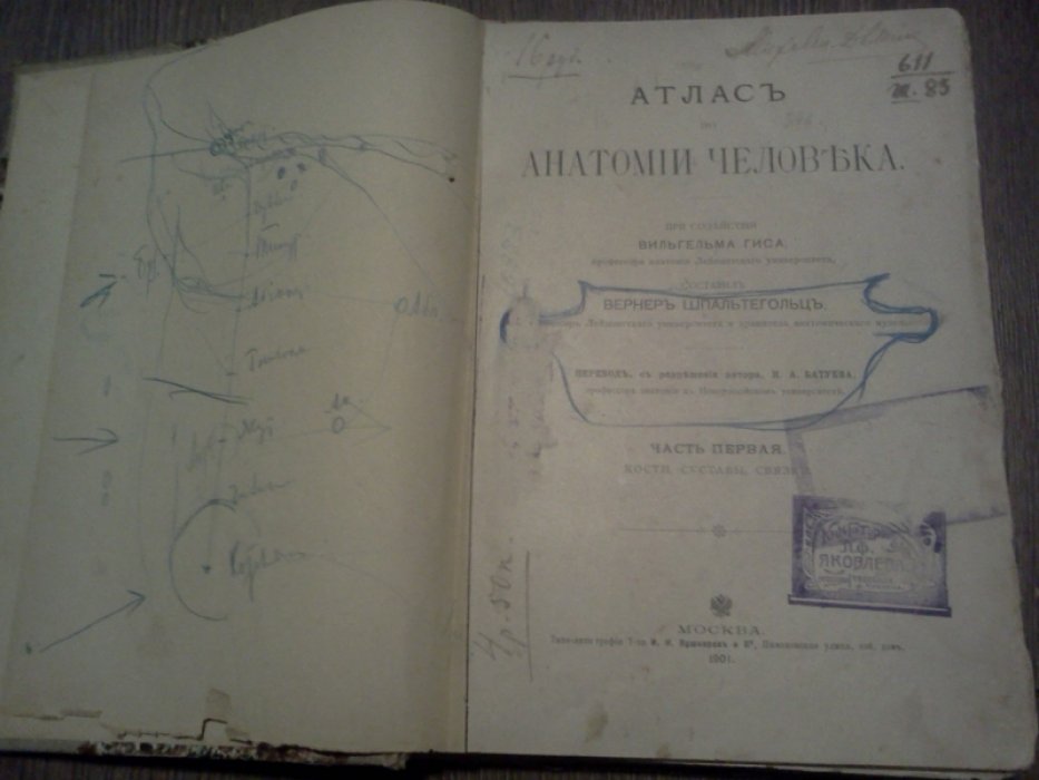 Шпальтегольц В. Атлас по анатомии человека. Часть 1-я Кости, суставы, связки.