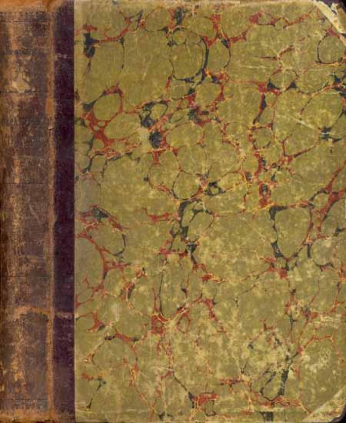 Веселовский, Юрий. Литературные очерки.
