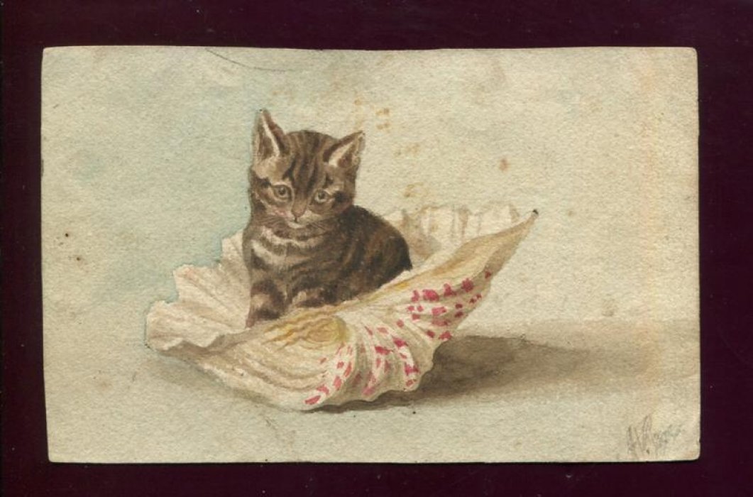 Котенок в раковине. Акварель, бумага.