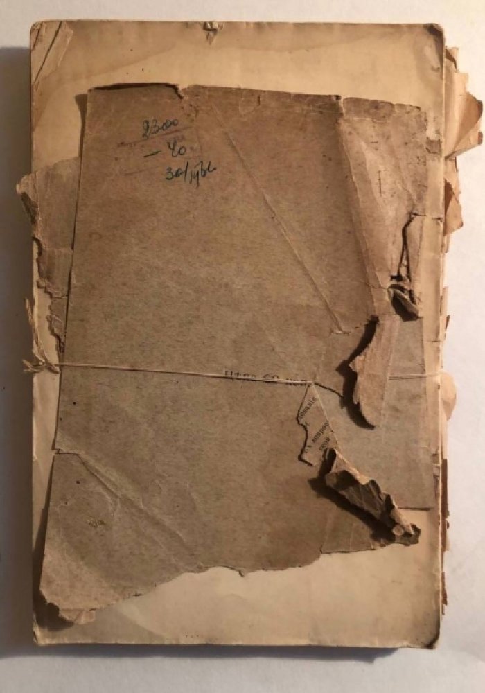Кареев Н. Политическая история Франции в XIX веке.