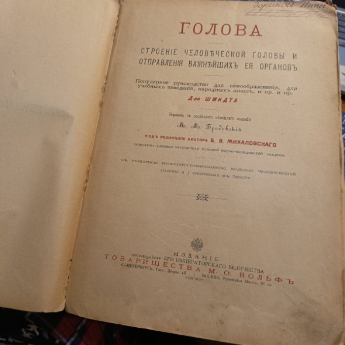 доктор Шмидт. Голова. Строение человеческой головы и отправления важнейших ея органов