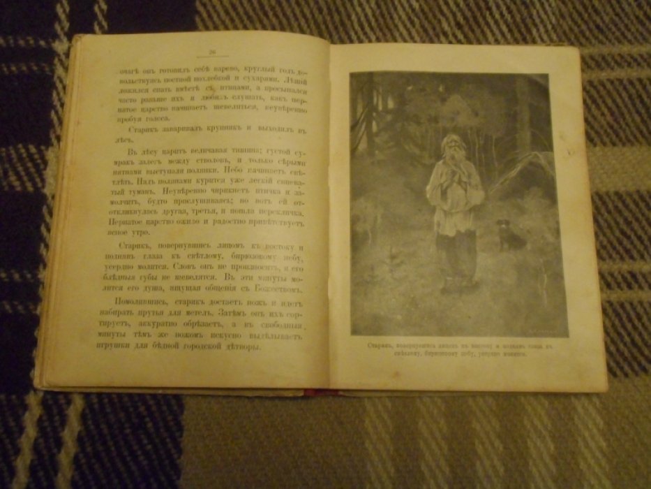 Радич В. Перекати-поле. Леший. Анночка. 3 рассказа В. Радича.С рмсунками В. В. Спасского
