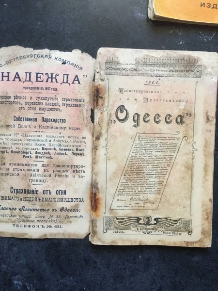 Вайнер Д.И. Одесса. Иллюстрированный путеводитель.