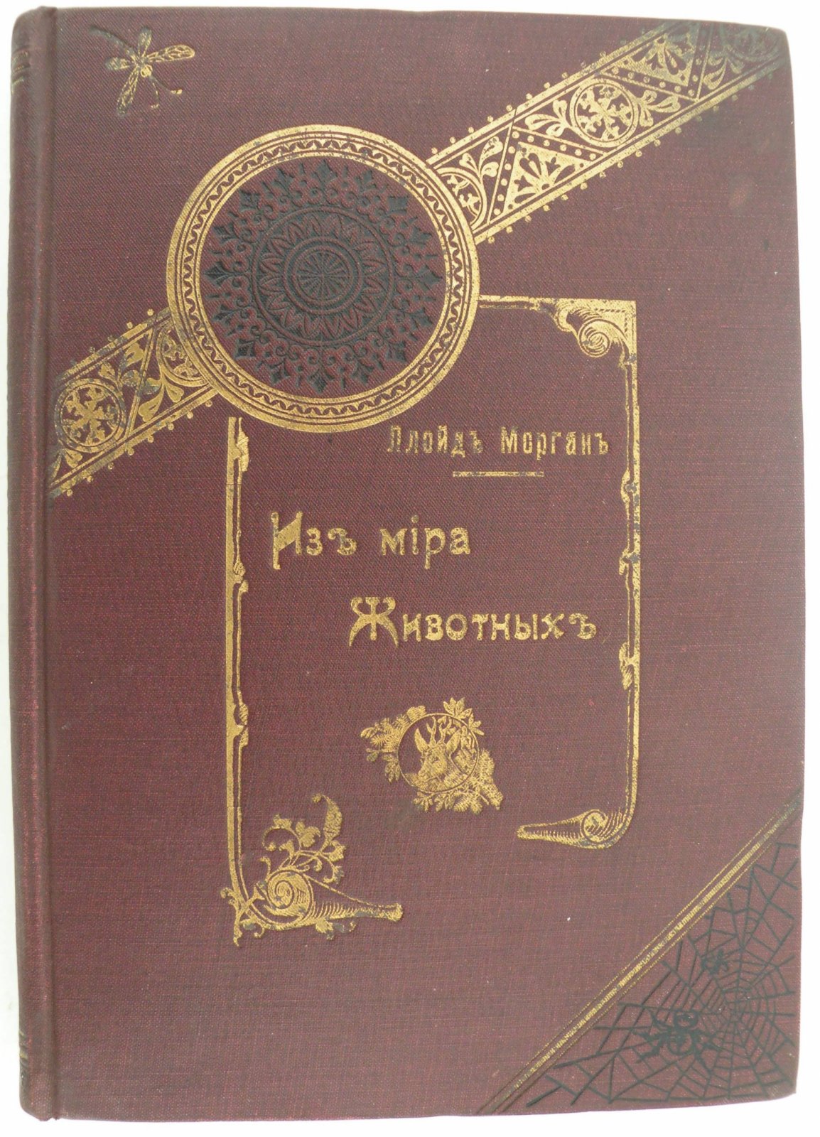 Морган Ллойд. Из мира животных.